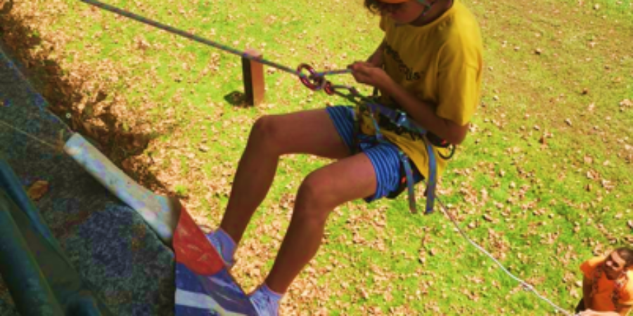 Imagem8